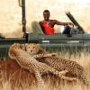 Lewa Wildlife Safari tour Kenya