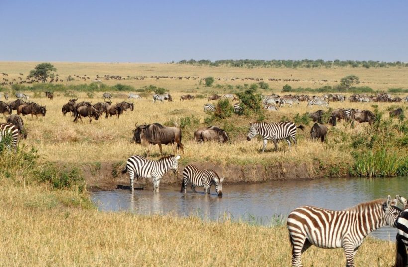 Masai Mara Game Reserve – Tour
