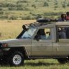 Masai-Mara-Top-1024×401