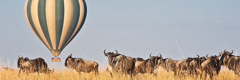 masai-mara-balloon-safaris